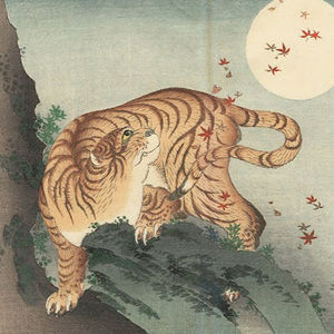 Meet your Posher, Camille